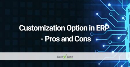 Customization Option in ERP - Pros and Cons - Data V Tech