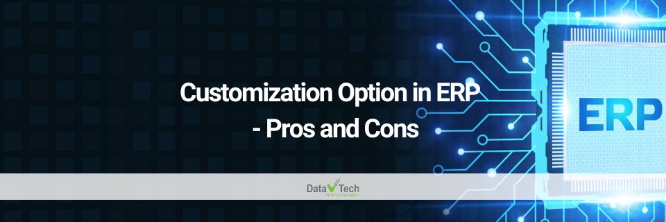 Customization Option in ERP - Pros and Cons - Data V Tech