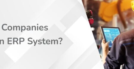 Which Companies need an ERP System