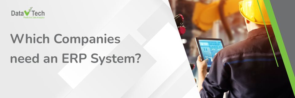 Which Companies need an ERP System